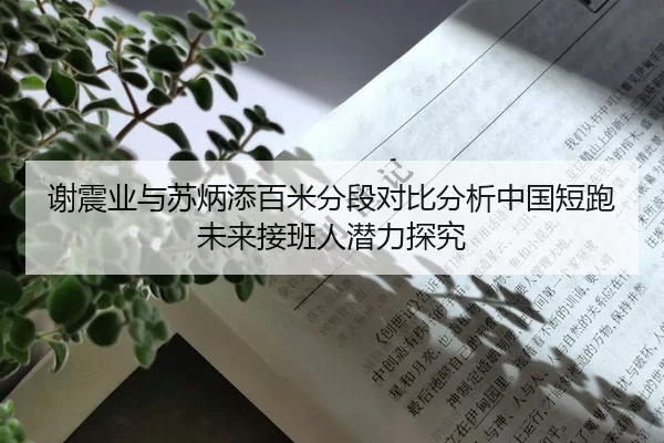 谢震业与苏炳添百米分段对比分析中国短跑未来接班人潜力探究