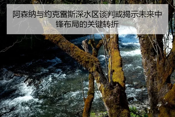 阿森纳与约克雷斯深水区谈判或揭示未来中锋布局的关键转折